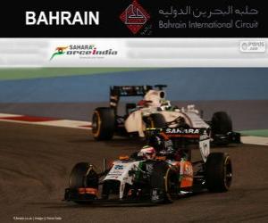 yapboz Sergio Perez - Force India - 2014 Bahreyn Grand Prix, gizli bir 3.